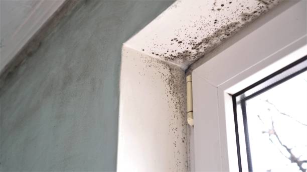 Best Air Quality Testing for Mold Spores  in Oxon Hill, MD