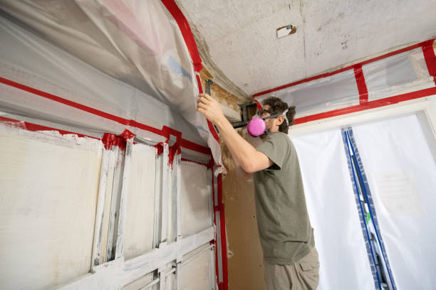 Best Asbestos and Lead Testing During Mold Inspection  in Oxon Hill, MD