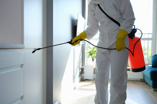 Professional Mold Inspection, Removal & Remediation in Oxon Hill, MD