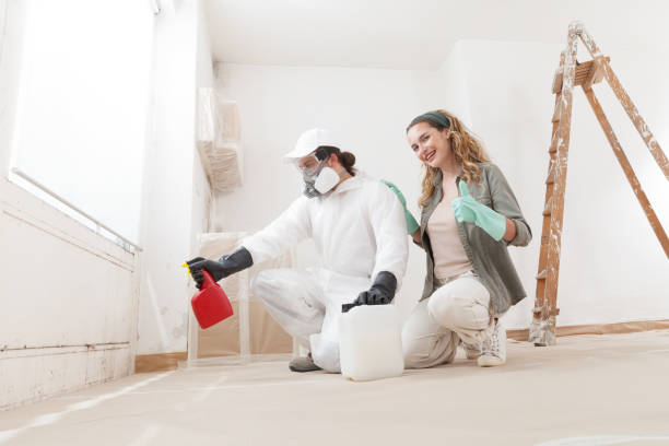 Mold Removal for HVAC Installations in Oxon Hill, MD