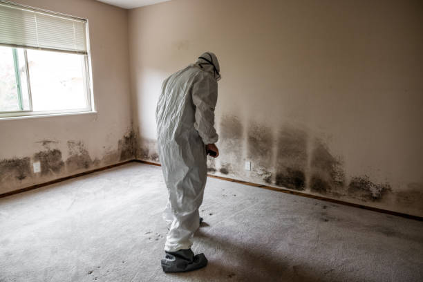 Best Residential Mold Inspection & Testing  in Oxon Hill, MD